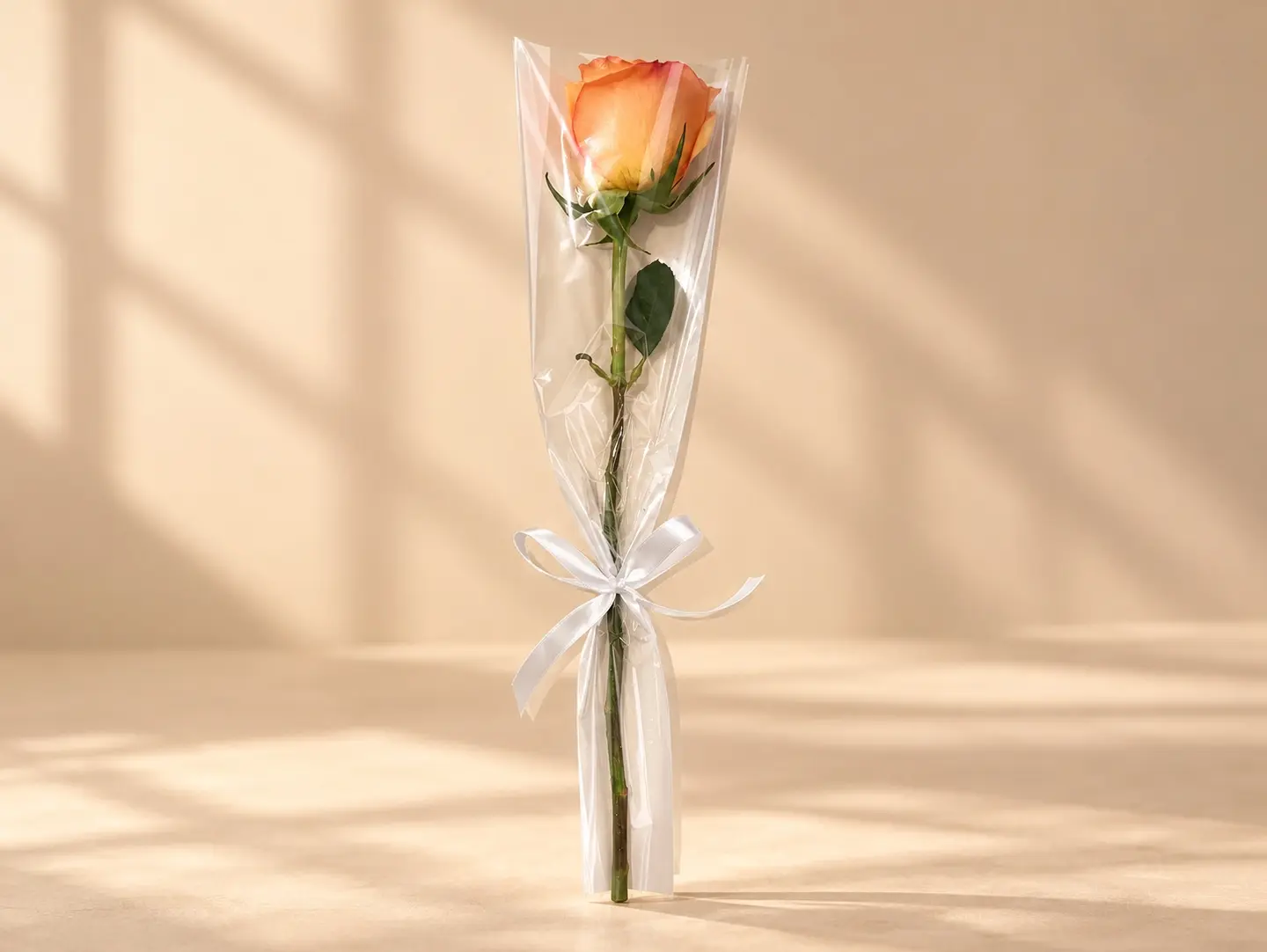 Single Peach Rose