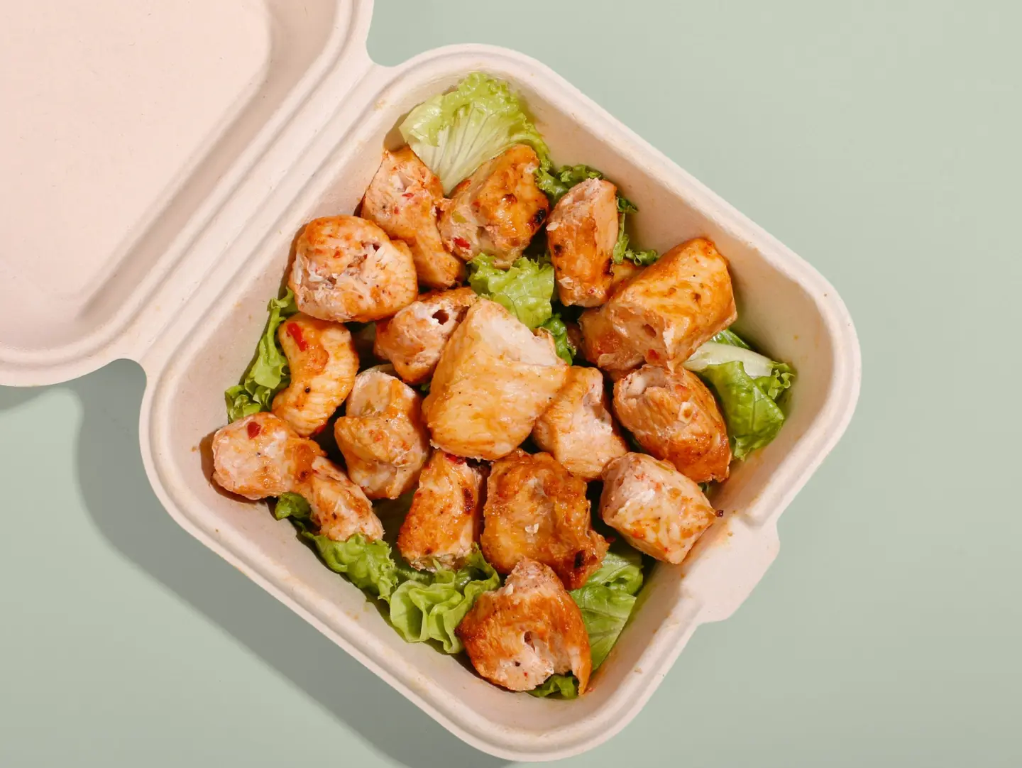 Health Shesh   50gm Protein