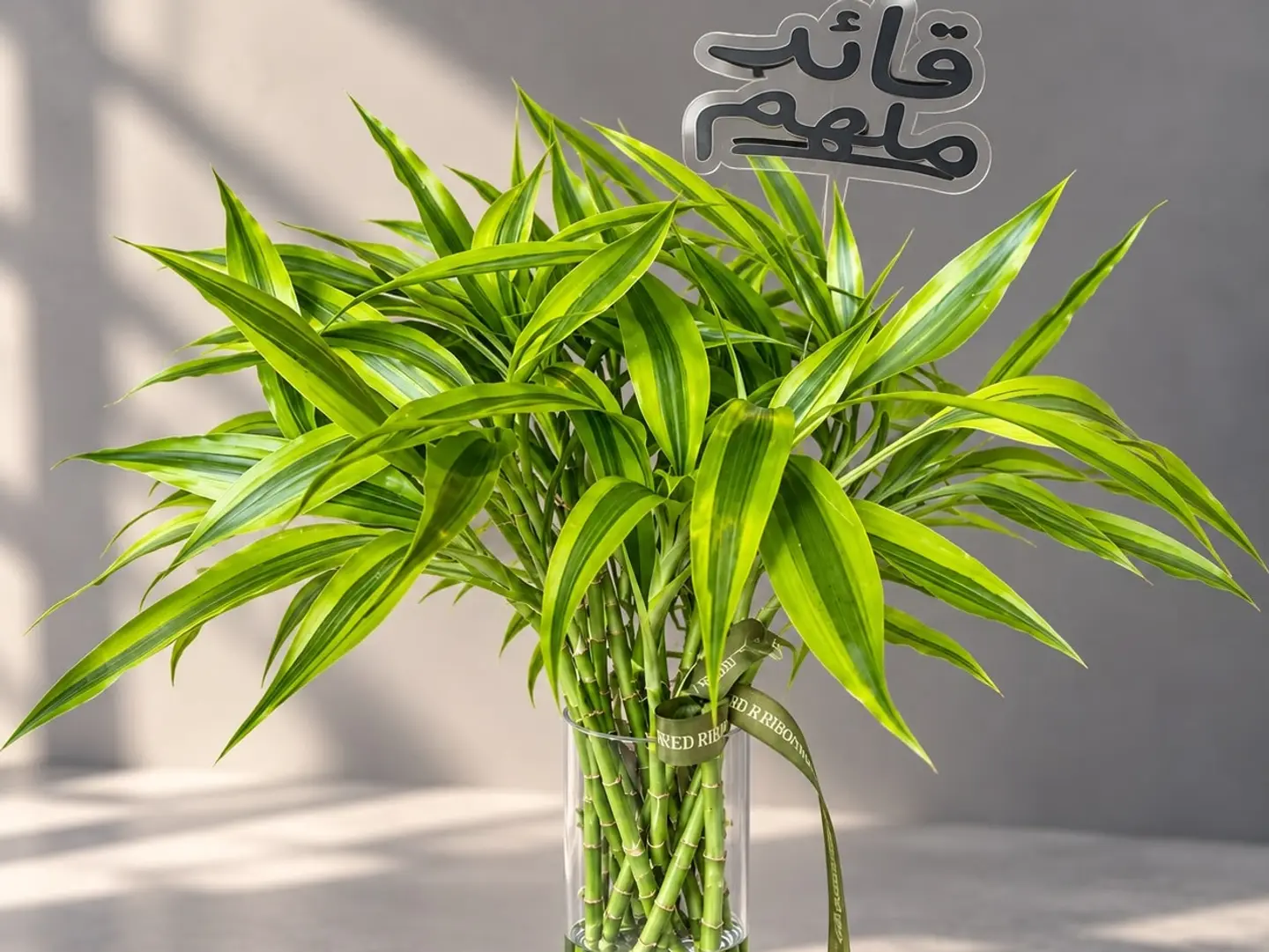 يوم المدير 6