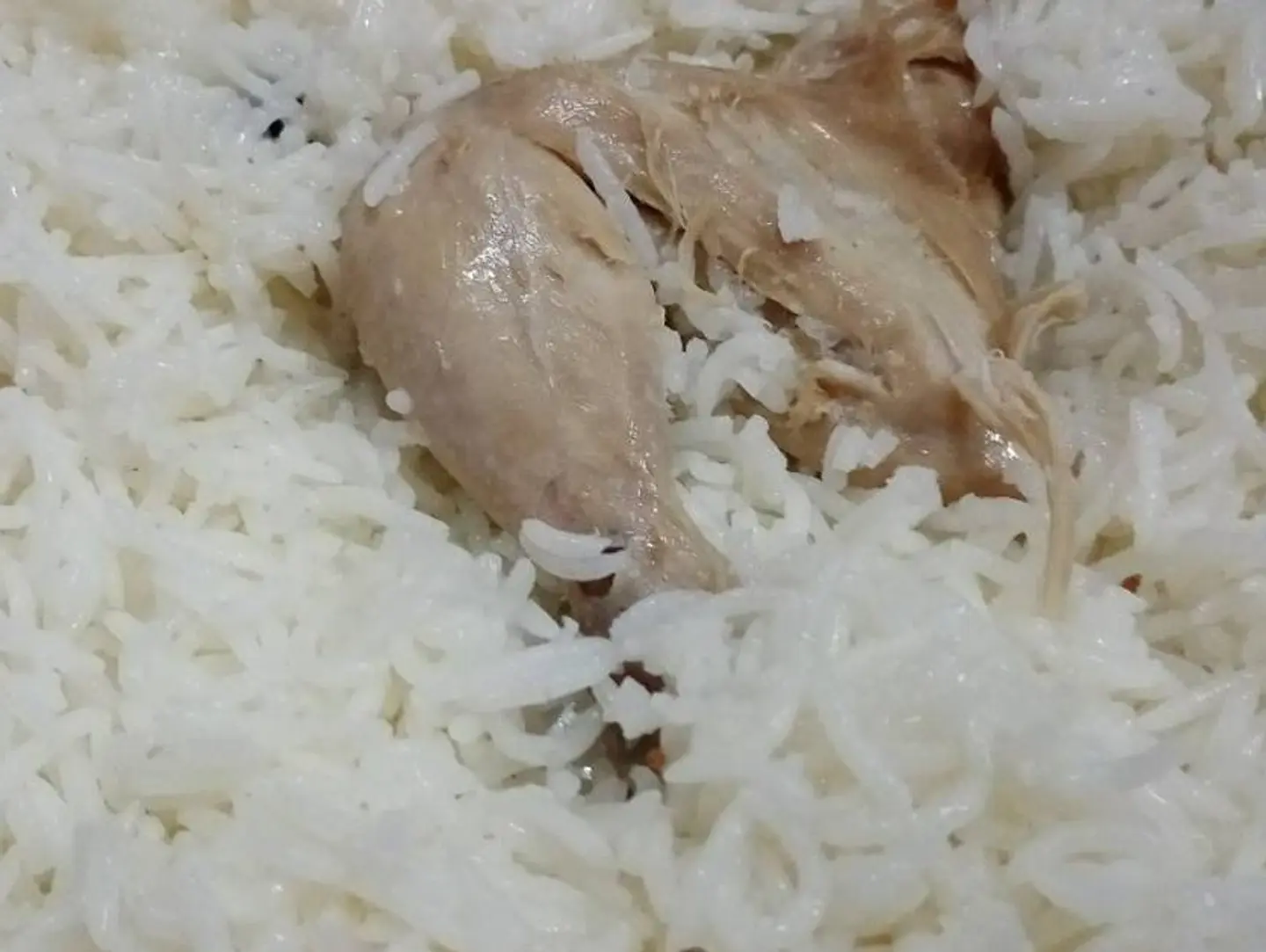 Madghut