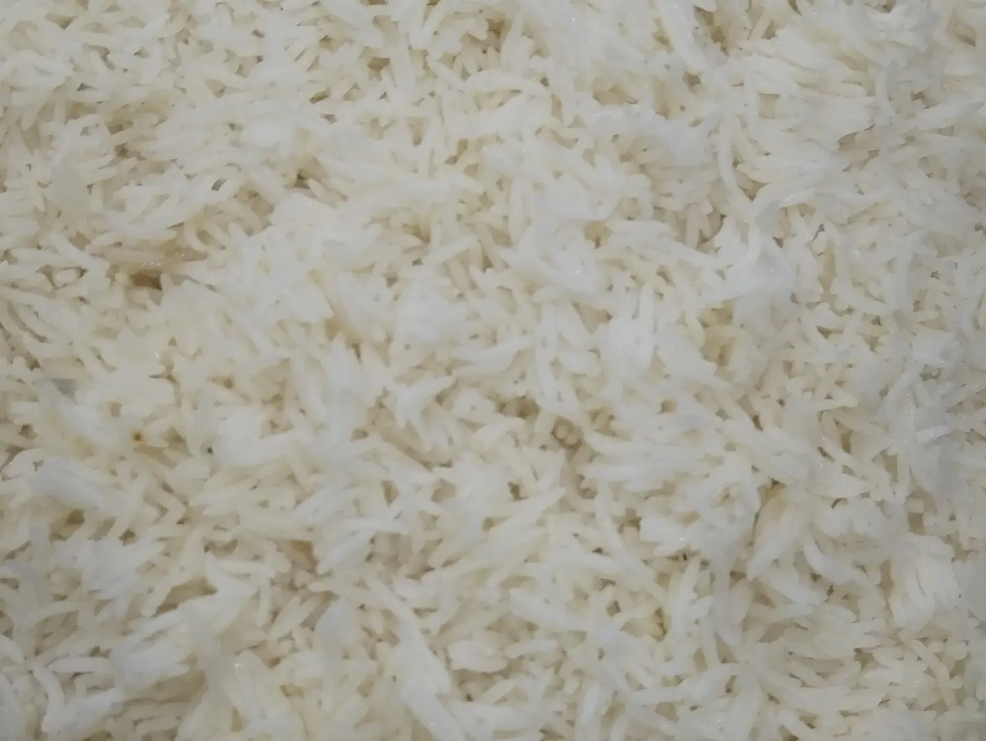 White Rice