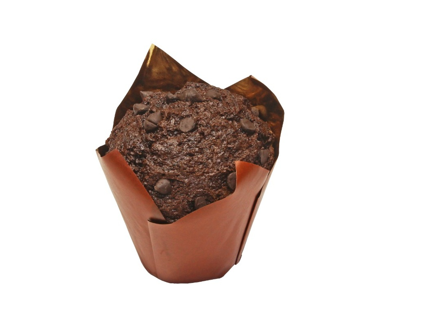 Chocolate Muffin