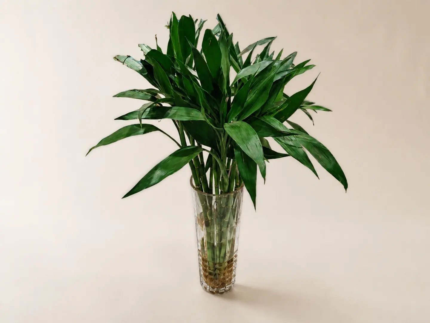 A Gift From Asia A Bamboo Vase