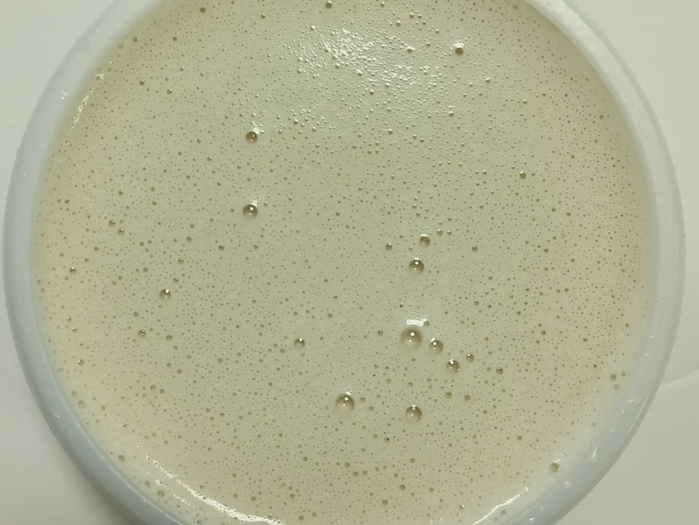 Large Tahini