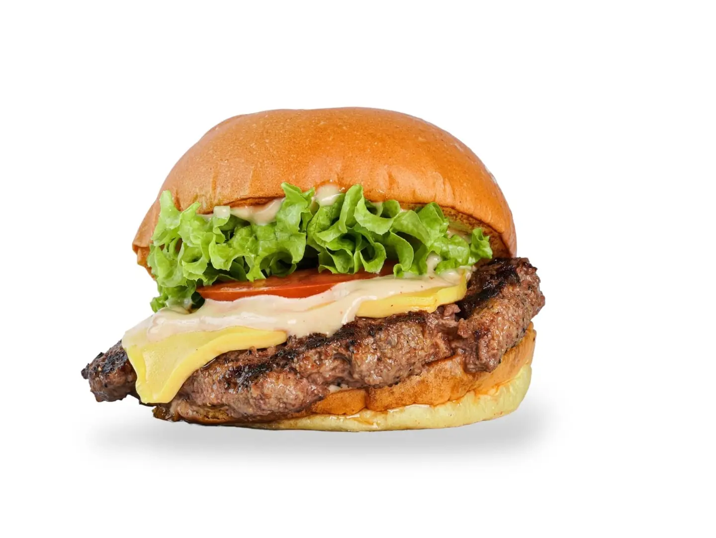 Classic Burger Sandwich