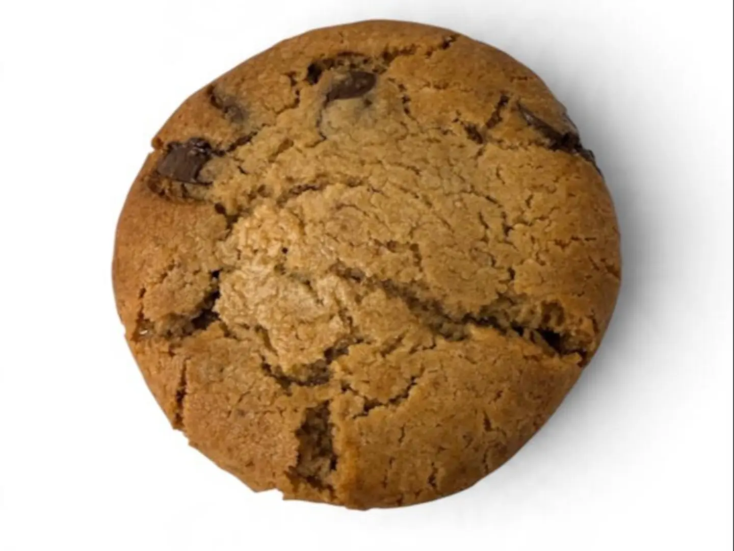Chocolate Chip Cookie