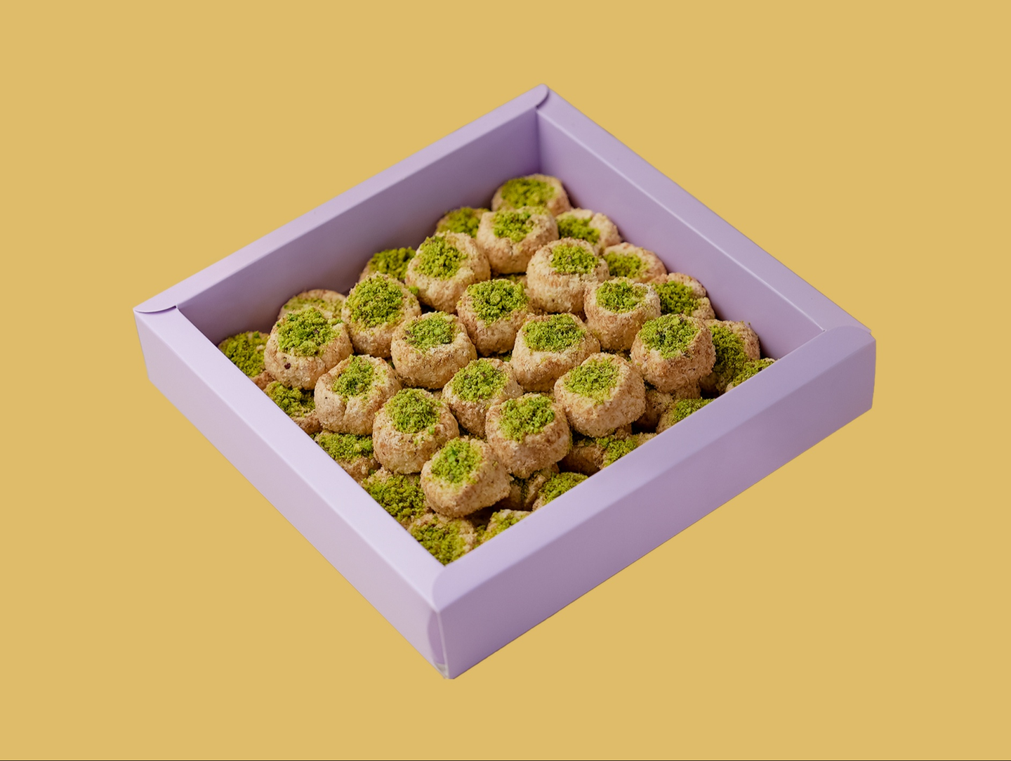غريبة باريس