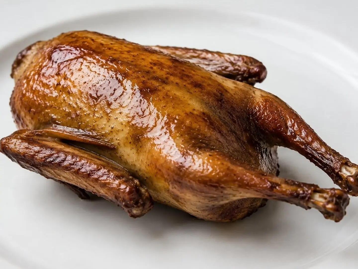 Plain Pigeon - Piece