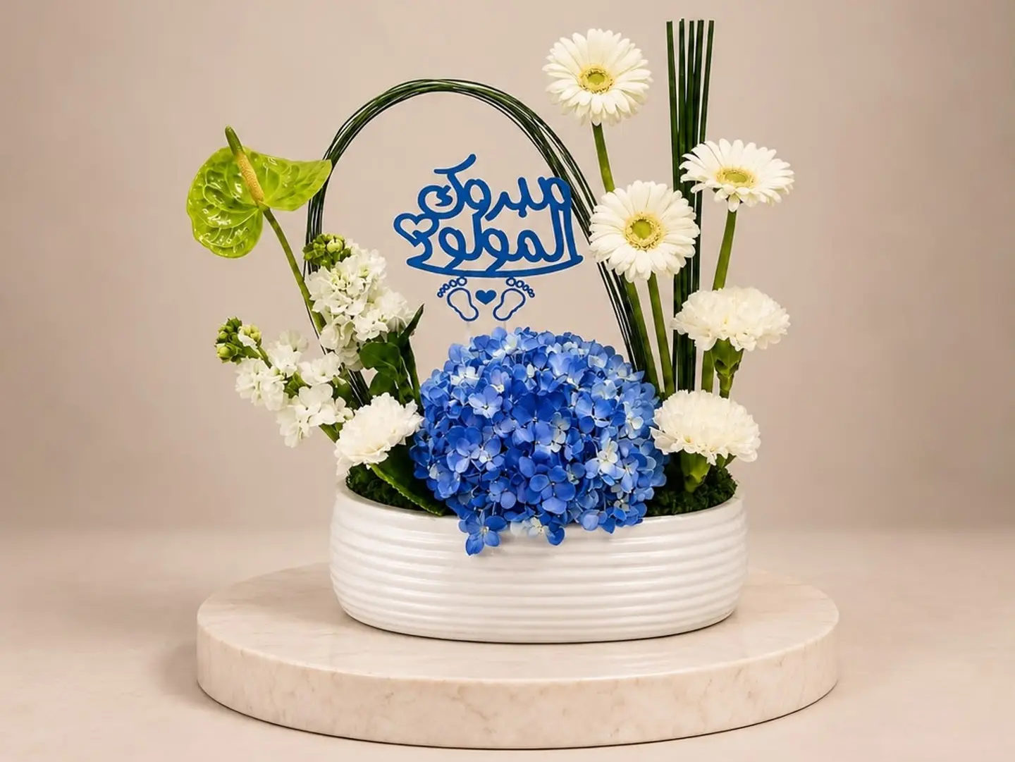 فازة إشراقة المولود