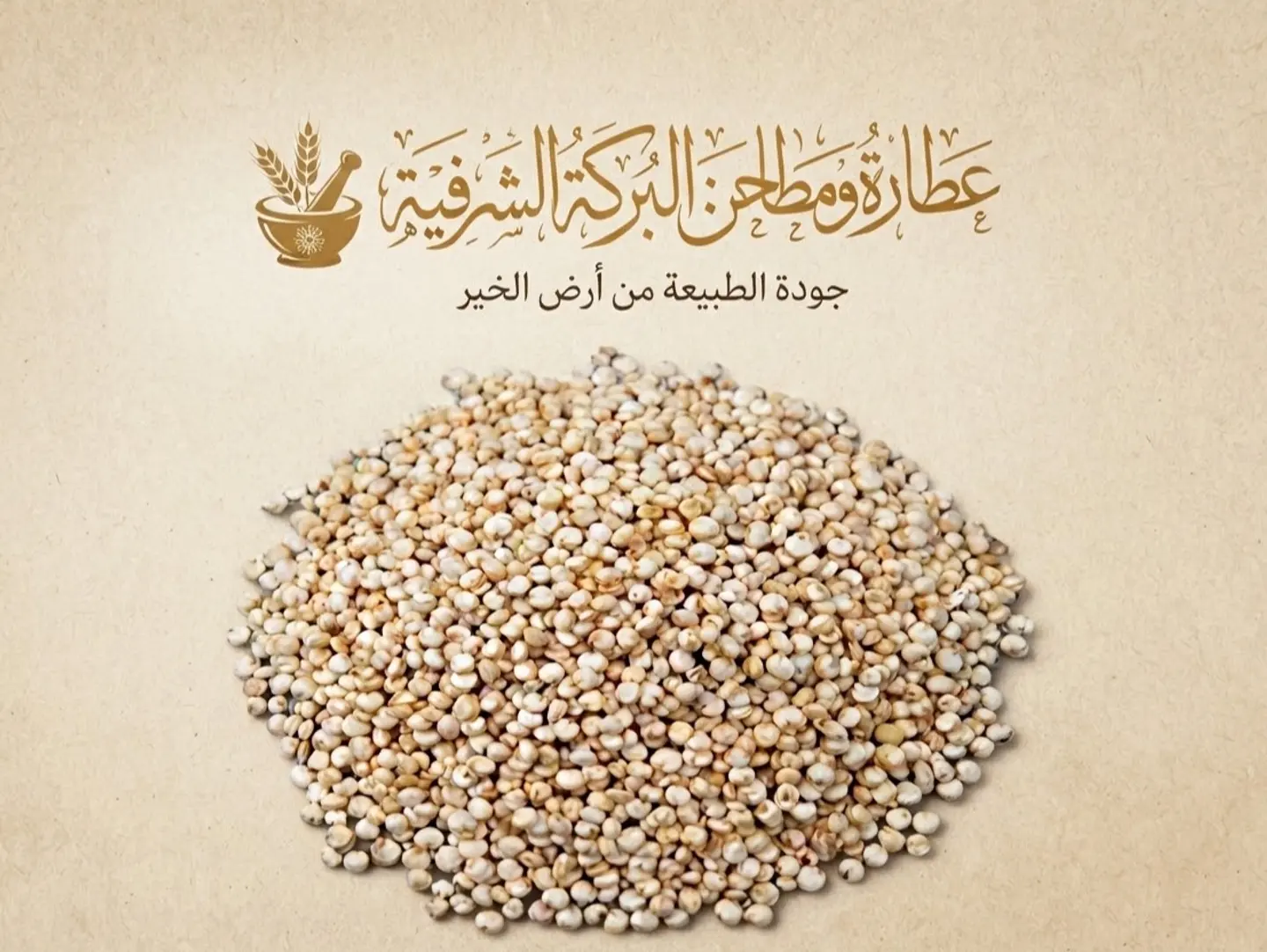 Knuh Seed