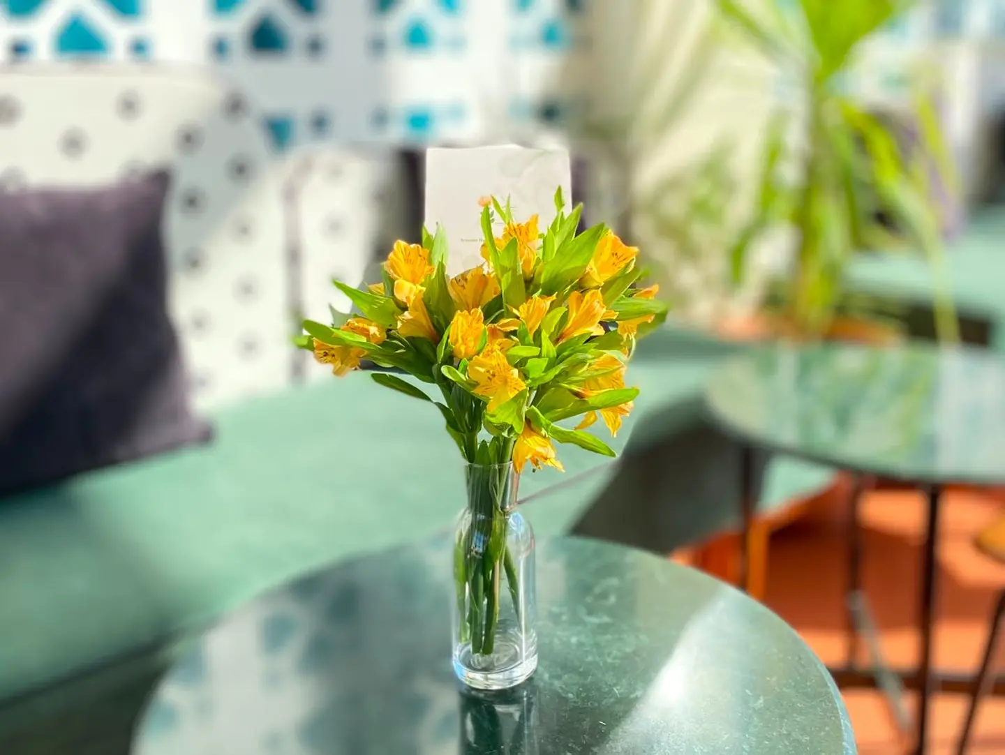 Natural Rose Vase 2 D