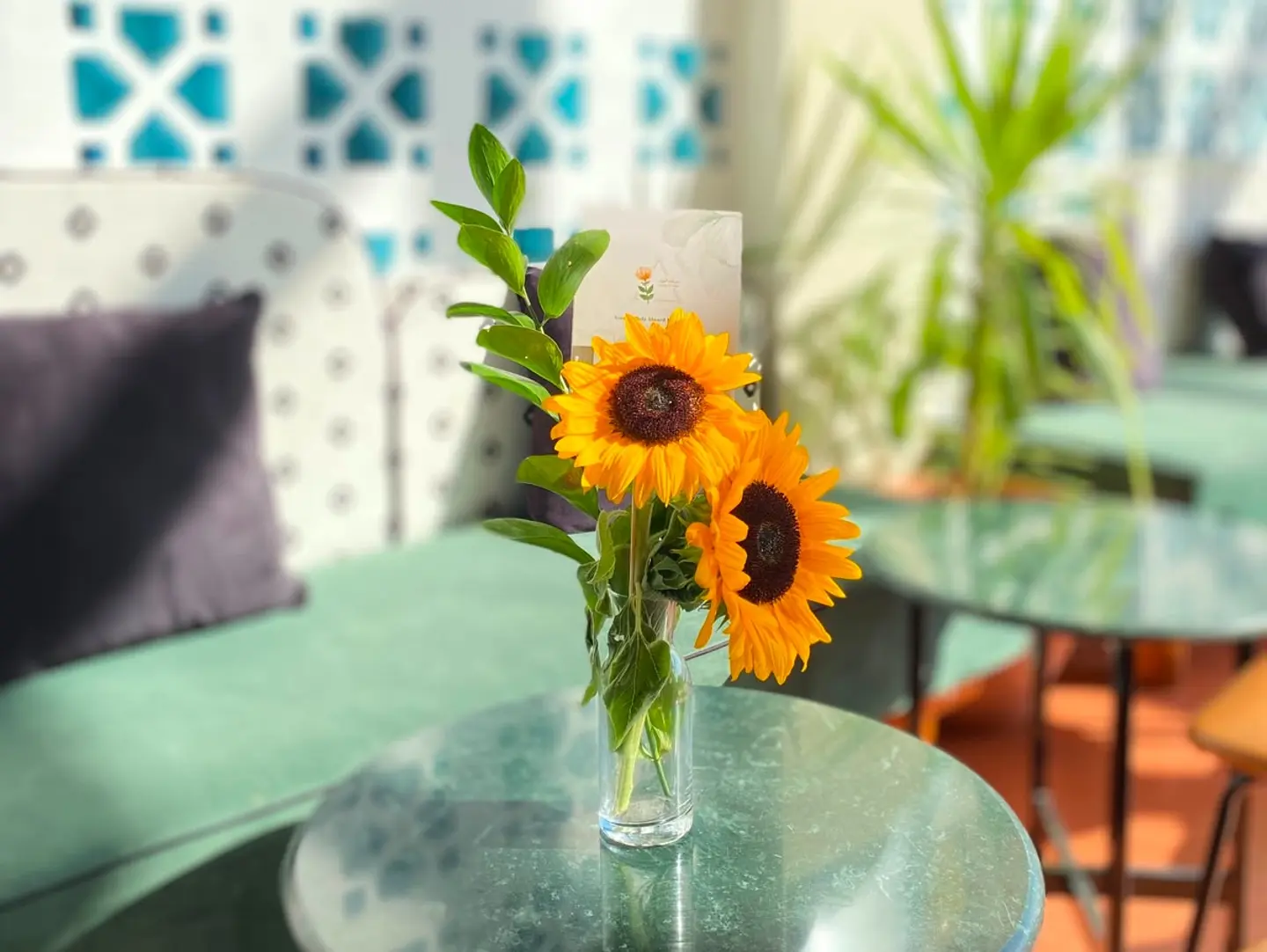 Natural Rose Vase 3 D