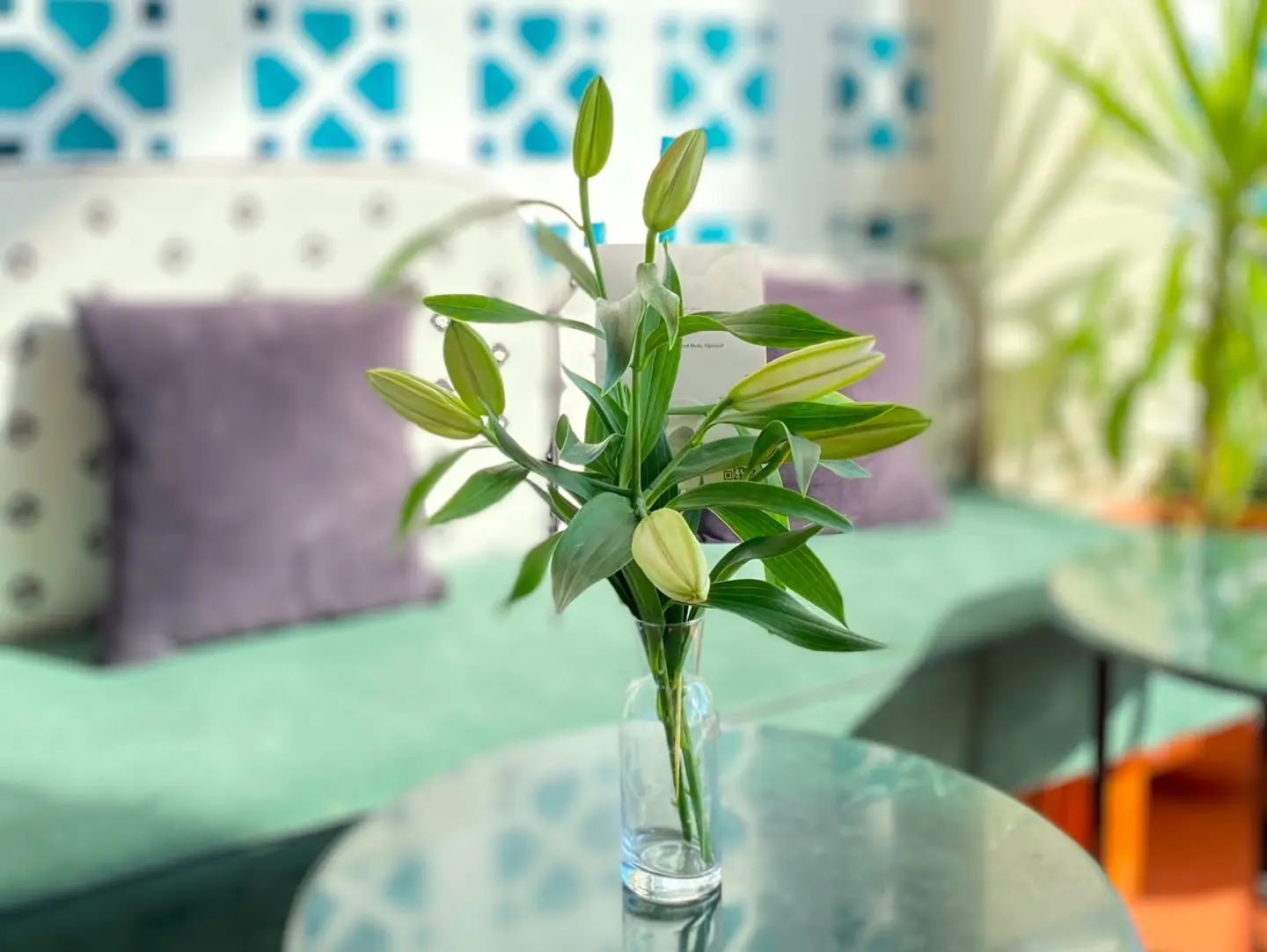 Natural Rose Vase, 4 D