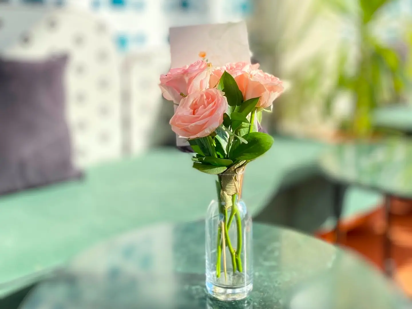 Natural Rose Vase, 6 D