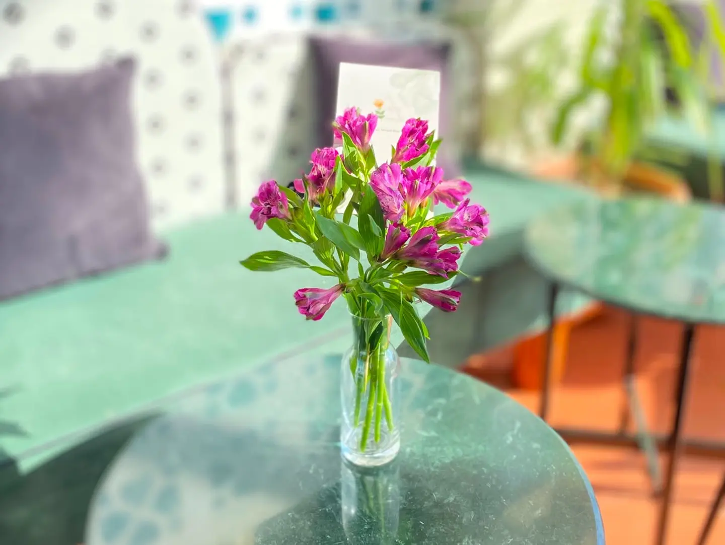 Natural Rose Vase 7 D