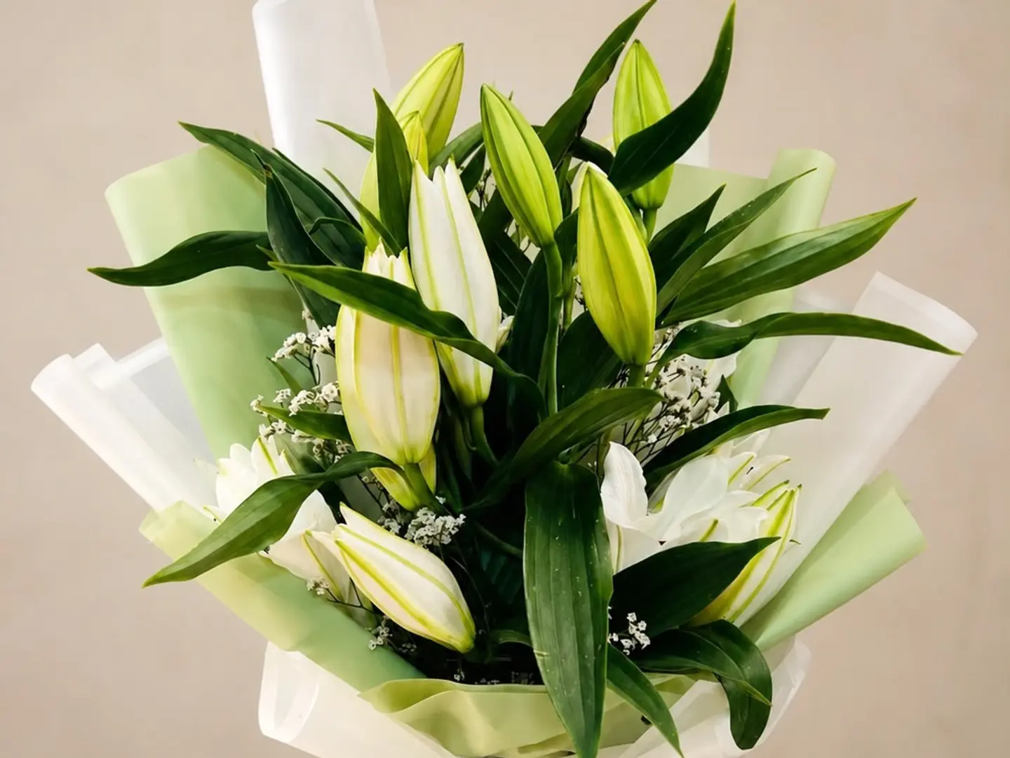 White Harmony