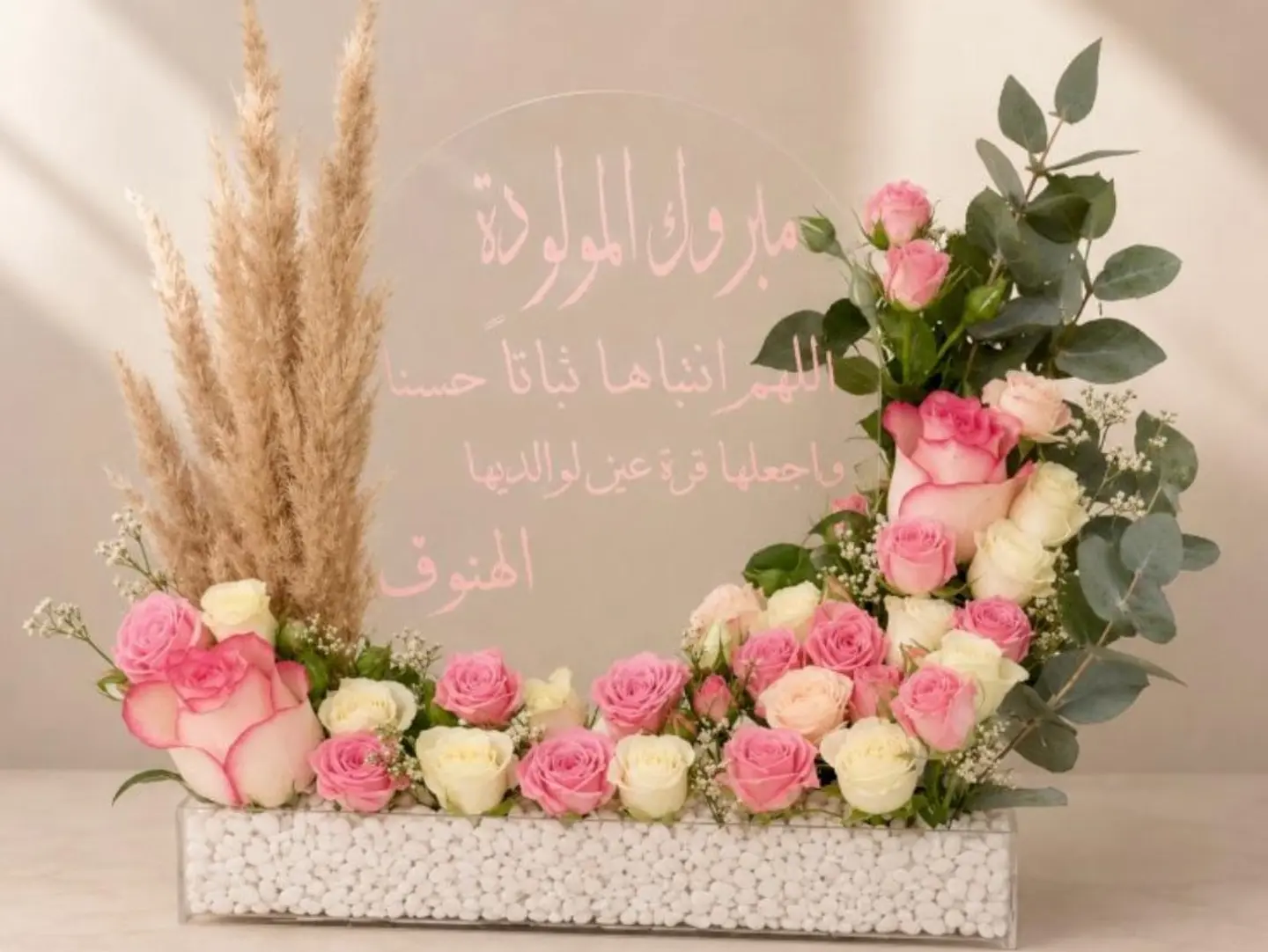 صينية سبليندد للمولود