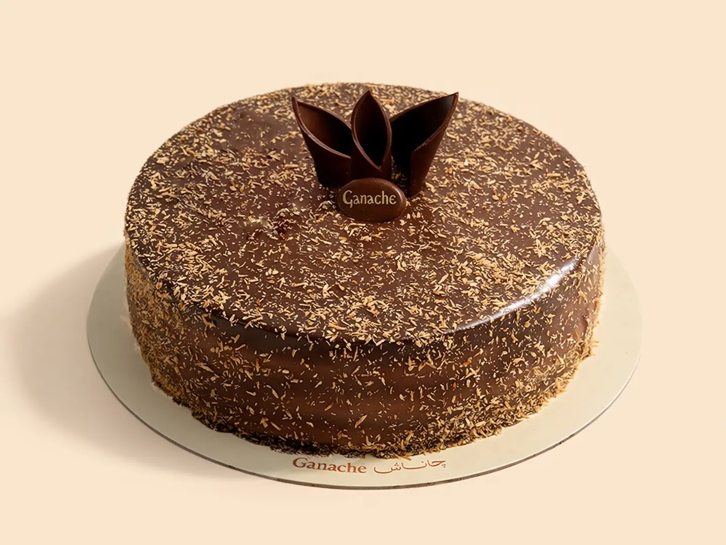 Chocolate Coconut Cake
