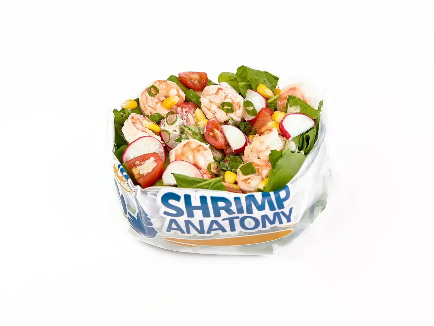 Anatomy Salad