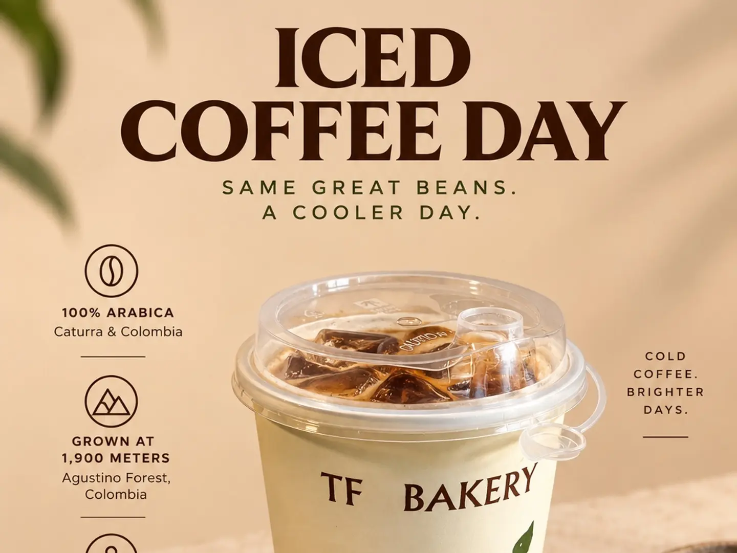 Ice Coffe Day