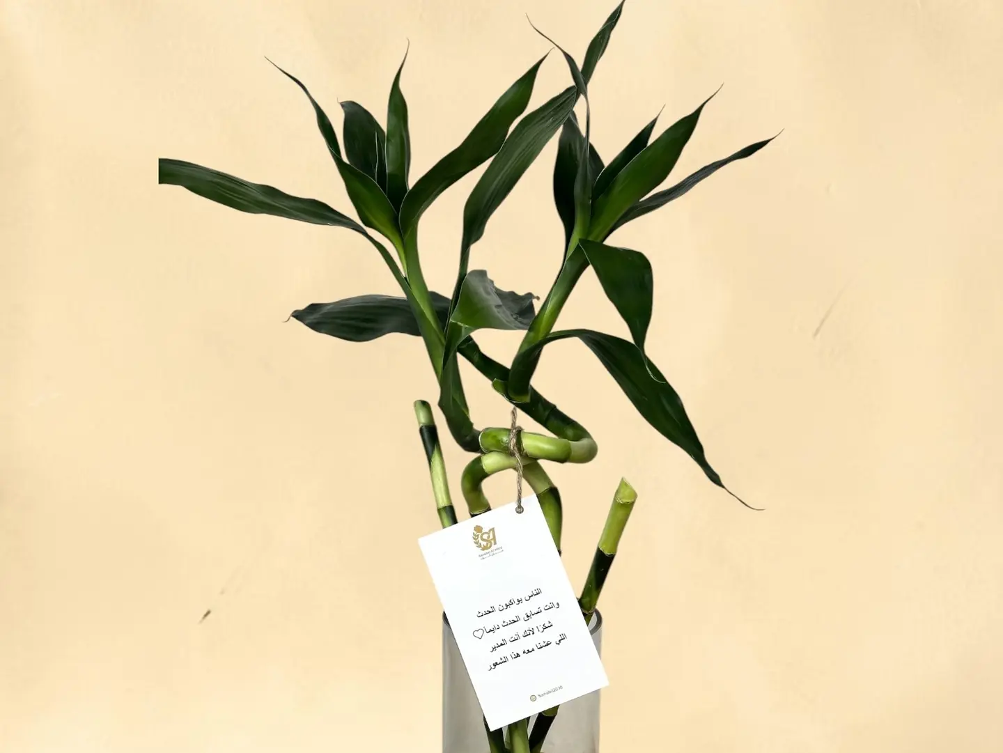Boss's Day   Bamboo Vase