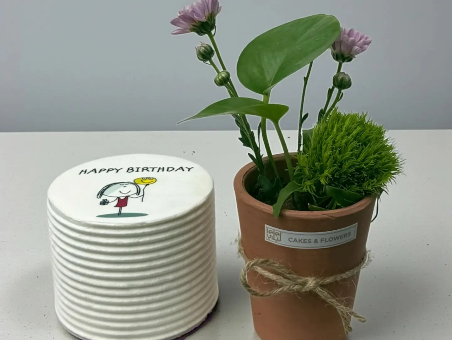 Plant And Cake2