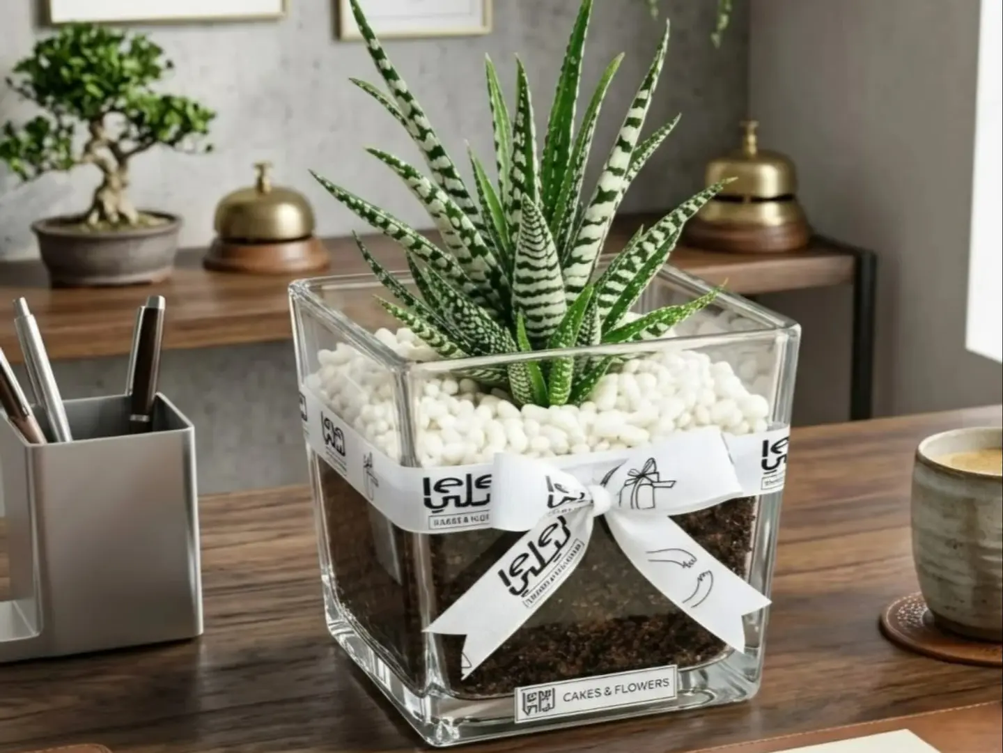 Cactus Plant