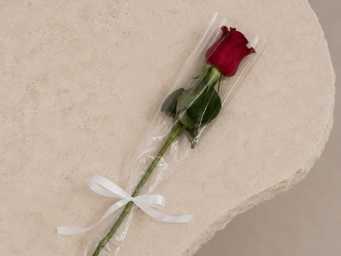 Cellophane Wrapped Rose