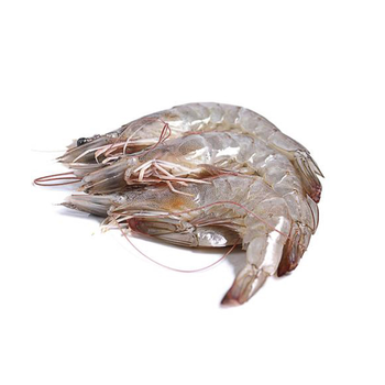 Fresh Farmed Prawns 60/70