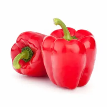 Capsicum Red Jordan
