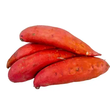 بطاطا حلوة أسترالية