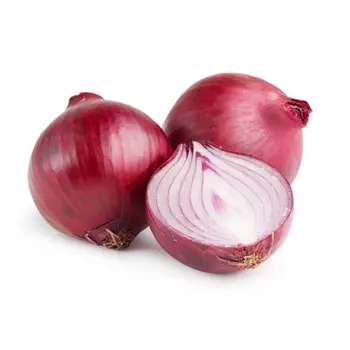 Onion Yemen