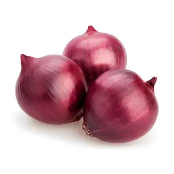 Onion Saudi