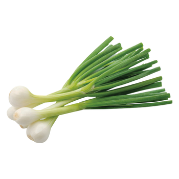 Organic Spring Onion 250G