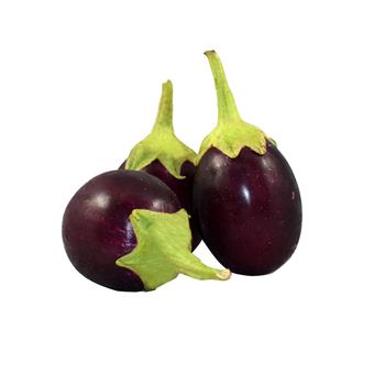 Eggplant Round Local