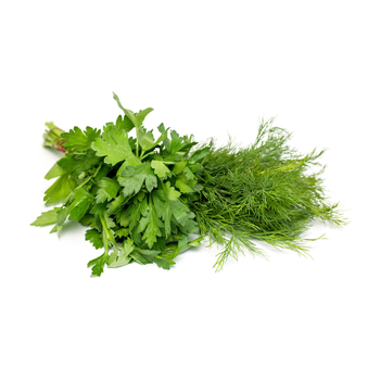 Fresh Herbs and Leaves 1 Piece