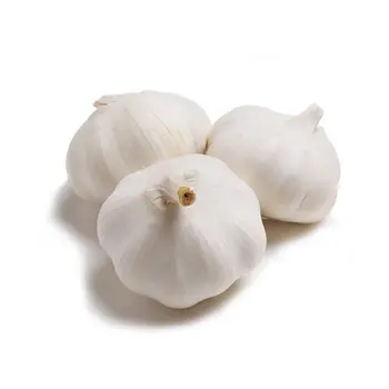 Garlic Pure White China
