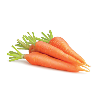 Fresh Carrots Saudi