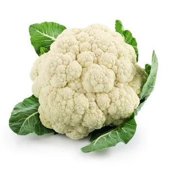 Cauliflower Holland Cauliflower