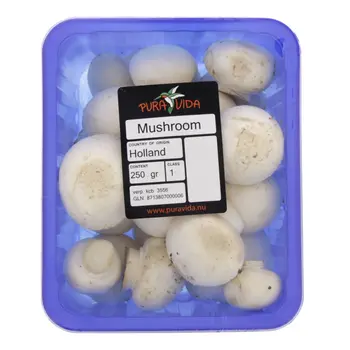 Holland Mushroom 250g