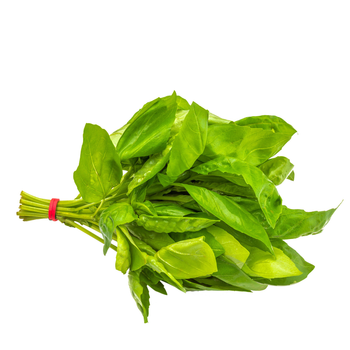 Fresh Basil Leaves 1 Piece