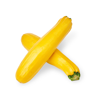 Yellow Courgette Holland