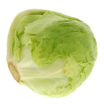 Iceberg Lettuce