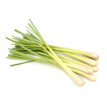 Lemon Grass Thailand