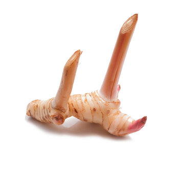 جالانجا تايلاندي