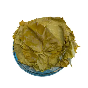 Grape Vine Leaves