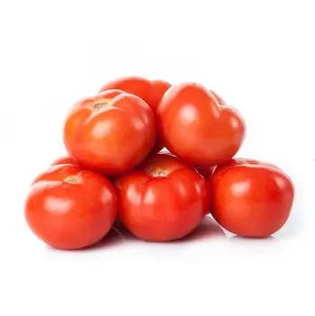 طماطم أردنية