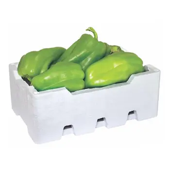 Capsicum Thermo 1 Box