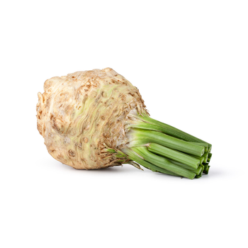 Celery Root Holland