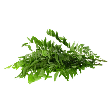 Fresh Curry Leaves Bunch